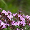 의료법인나누리의료재단나누리병원 이미지