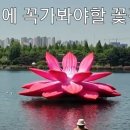 5월에 가기좋은 꽃여행지 베스트5 이미지