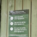 콩카페이태원점 이미지