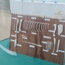 진도개 53카페 이미지