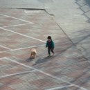 유강 초등학교 병설 유치원 이미지