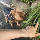 누리떡집 이미지