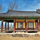 홍산객사 은행나무 이미지