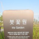 마곡 서울식물원/궁산/공암나루 산책 이미지