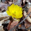 서유농원 이미지