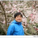 매화농장 이미지