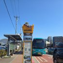 순천만생태펜션 | 순천 흑두루미 탐조 여행 투어 관찰 겨울 순천만 습지