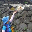 제주 올레길 7코스 이미지