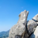 불암버스정류장 이미지