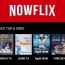 나우메드 네이버블로그