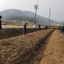 흥선농장 이미지