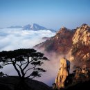 서부초등학교삼거리 이미지