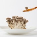 느타리버섯 효능 느타리버섯 칼로리 영양성분 이미지