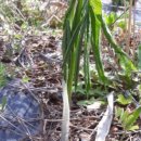 천남농장 이미지