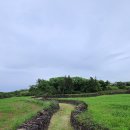 저지오름 이미지