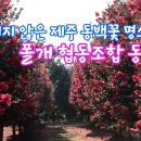 폴개협동조합
