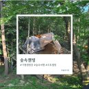 블루문 | 가평 블루문캠핑장 후기｜숲속 24번 데크 실사용 리뷰