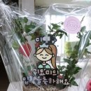 쥬쥬플뢰르 이미지