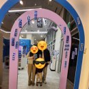 포토101 | 기흥역 포토101 방문 후기 | 가족과 함께 찍은 스티커 사진 리뷰!