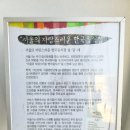 설담재 설렁탕 | 도봉구 창동 맛집, 설담재 한우 설렁탕 수육정식 혼밥 후기