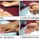플루코 이미지