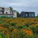 대구한의대학교 한방산업대학원 이미지