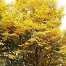 부천시청역 이미지