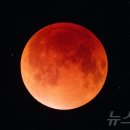 선명이네 이미지