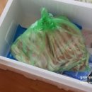 육림풀장 이미지