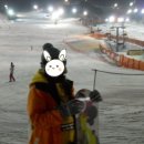 양지본가 이미지