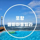 셀비아펜션 | 셀비아 풀빌라 멋진 오션뷰와 넓직한 수영장이 있는 풀빌라 후기