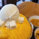 과일의숲 - 김해시 덕정로204번길 18 | 김해 망고빙수 맛집, 생망고 가득한 과일의숲 본점 후기
