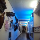 땅끝해양 자연사박물관 이미지