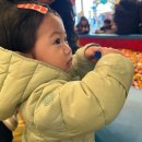 킹덤오락실 | 레고랜드 리조트 후기 (킹덤테마프리미엄룸)