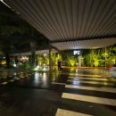 단스부띠끄 | '베트남 다낭'금요일 퇴근 후 토일 주말 여행 ! 텐션 올려 우리가 있을 수 있는 시간은 주말 단 이틀뿐이야