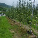 형재농장 이미지