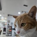 동해의원 | 동해 누가이비인후과 비염수술 2주~5주차 후기(3탄)