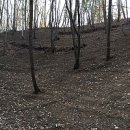 갑천농장 이미지