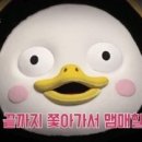 다이나믹뮤직복싱 이미지