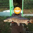 백달낚시터 이미지