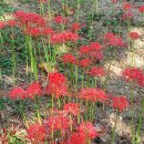 현대자동차 연지점 이미지