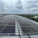 대박 태양광발전소 이미지