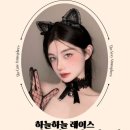 고양이 유치원 이미지