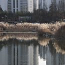 한강신도시호수공원 이미지