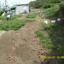 가덕농장 이미지