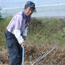 팔랑1리 마을회관 이미지