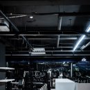 미녀와 야수GYM 이미지