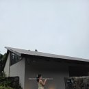 보름식당 | 제주서귀포맛집 보름숲 예약 없이 다녀온 내돈내산 솔직후기