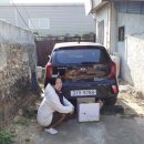 영이용소 이미지