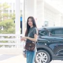 골든호스 이미지